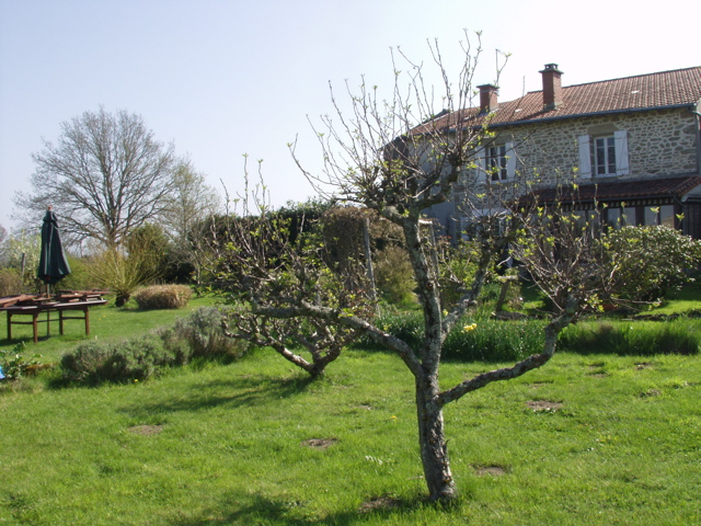 House by Jaqui
