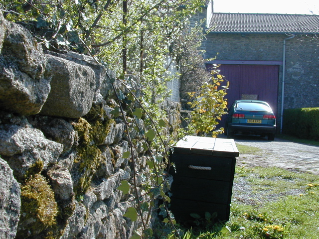 Wall
