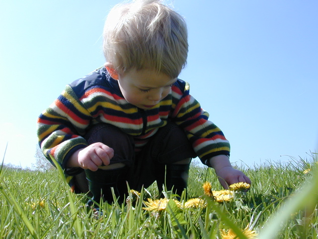 Elliot Flowers