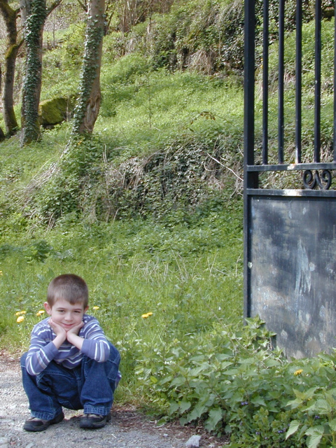 Ollie & Gate