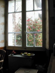 Kitchen Window