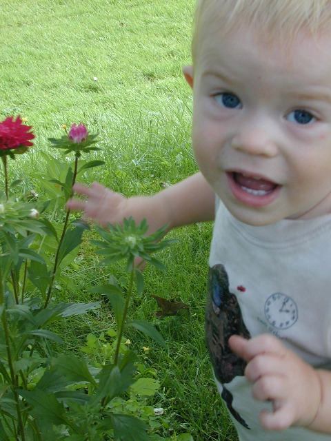 Elliot_ollies_flowers