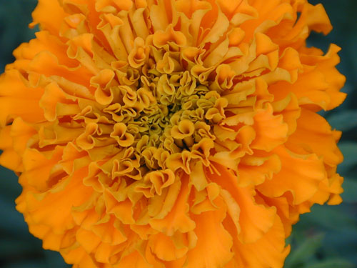 DSCN7646