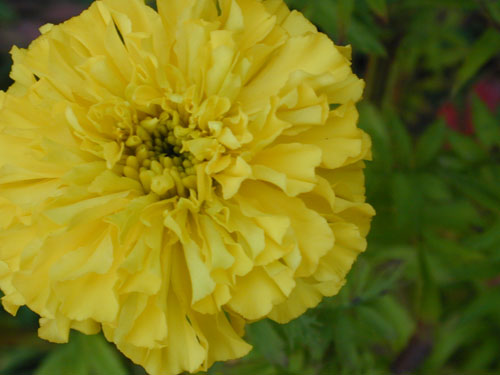 DSCN7648