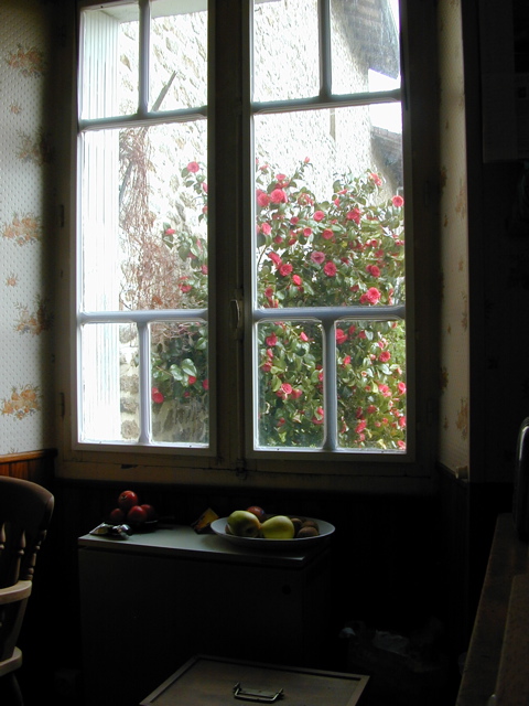 Kitchen Window