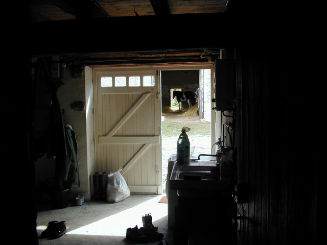 Kylie Courtyard