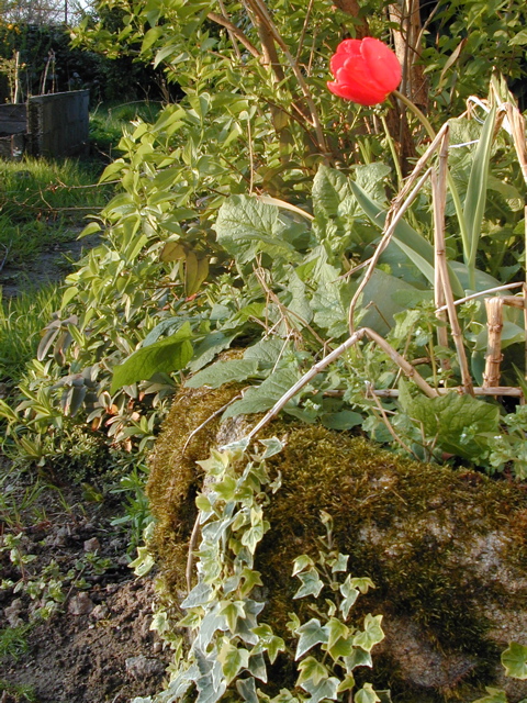 Garden at La Lande