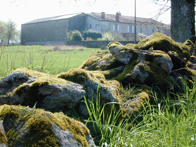 Wall & House