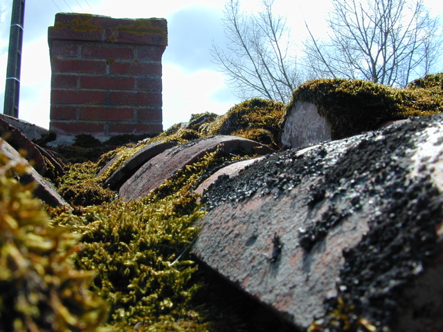 Roof tiles