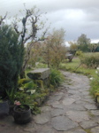 Path