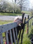 Elliot gate