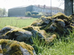 Wall & House