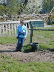 Ollie Field