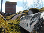 Roof tiles