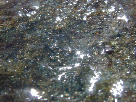 DSCN4543