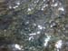 DSCN4543