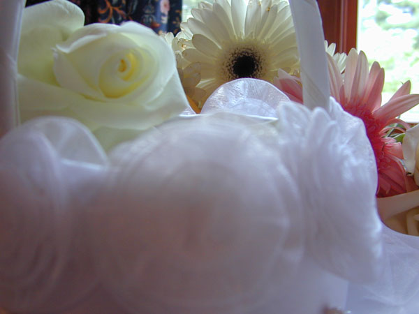 DSCN7188