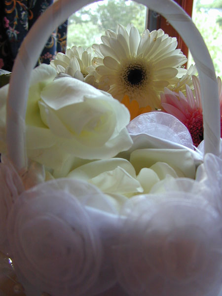 DSCN7189