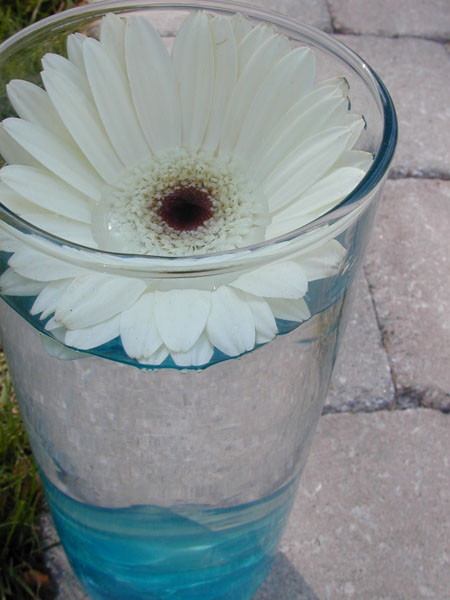 DSCN7207