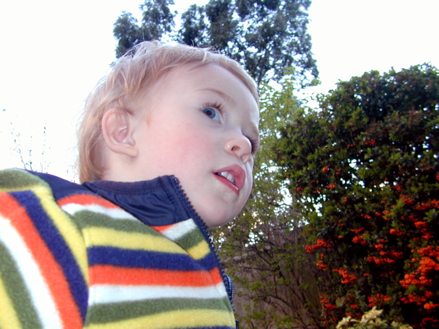 DSCN3478