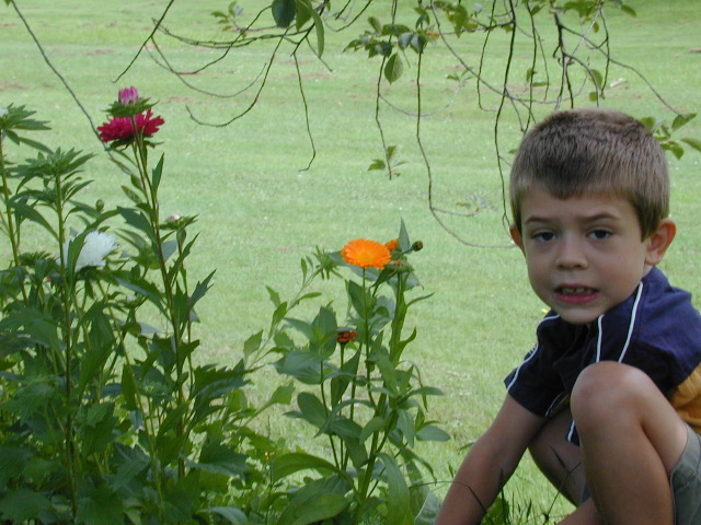 Ollie_his_flowers