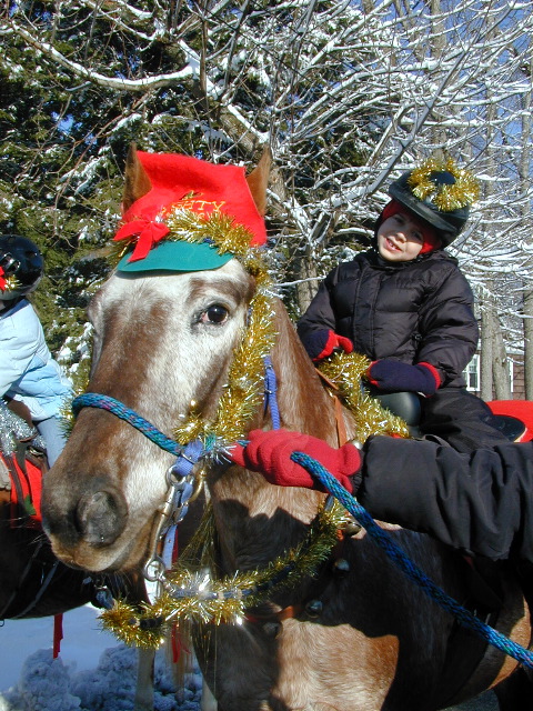 Ollie_on_Lacy_xmas_parade