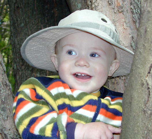 Elliot_tree_mayo4