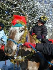 Ollie_on_Lacy_xmas_parade